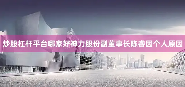 炒股杠杆平台哪家好神力股份副董事长陈睿因个人原因
