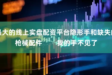 最大的线上实盘配资平台隐形手和缺失的枪械配件        我的手不见了