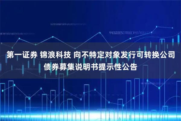第一证券 锦浪科技 向不特定对象发行可转换公司债券募集说明书提示性公告