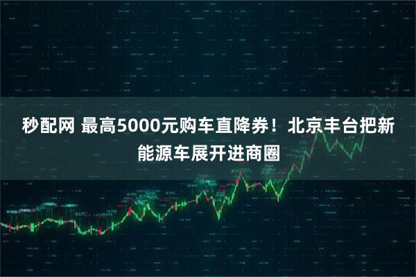 秒配网 最高5000元购车直降券！北京丰台把新能源车展开进商圈