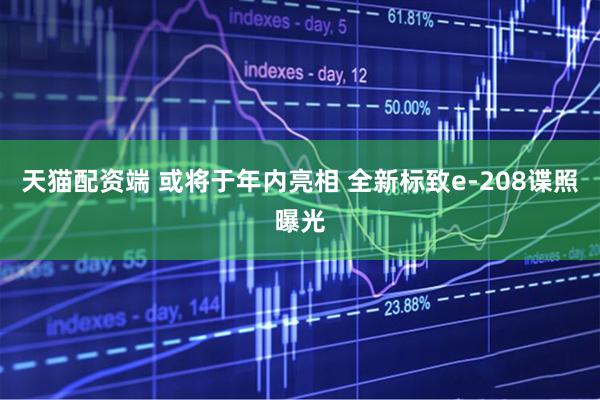 天猫配资端 或将于年内亮相 全新标致e-208谍照曝光